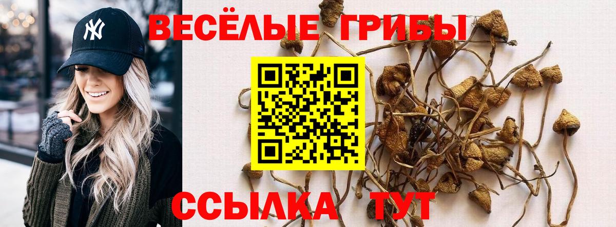 Псилоцибиновые грибы Cubensis  Вход с VPN  Норильск 